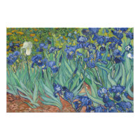 Schwertlilien, Florale Ölmalerei, Vincent Van Gogh
