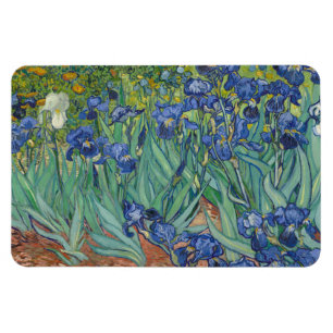 Schwertlilien, Florale Ölmalerei, Vincent Van Gogh Magnet