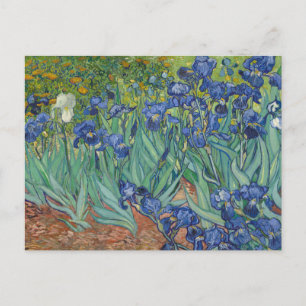 Schwertlilien, Florale Ölmalerei, Vincent Van Gogh Postkarte