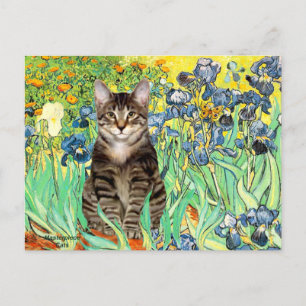 Schwertlilien - Getigerte Tigerkatze 30 Postkarte