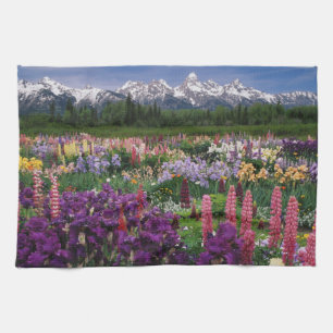 Schwertlilien- und Lupinengarten und Teton Range, Handtuch