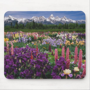Schwertlilien- und Lupinengarten und Teton Range, Mousepad