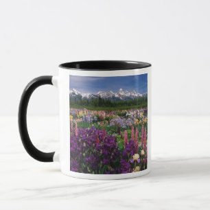 Schwertlilien- und Lupinengarten und Teton Range, Tasse