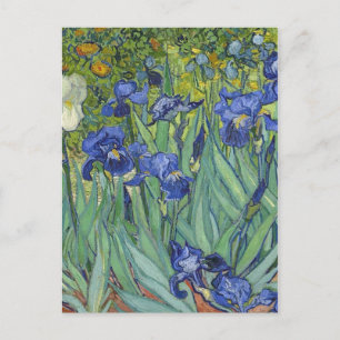 Schwertlilien Vincent van Gogh Kunstwerk Feiertagspostkarte