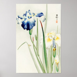 Schwertlilien von Ohara Koson Poster