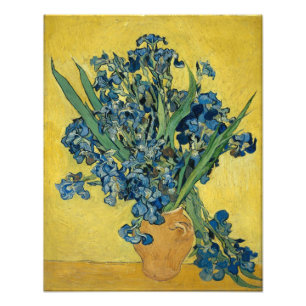 Schwertlilien von Vincent Van Gogh Fotodruck
