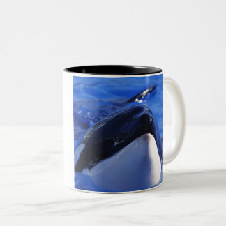 Schwertwal. Killerwal Zweifarbige Tasse