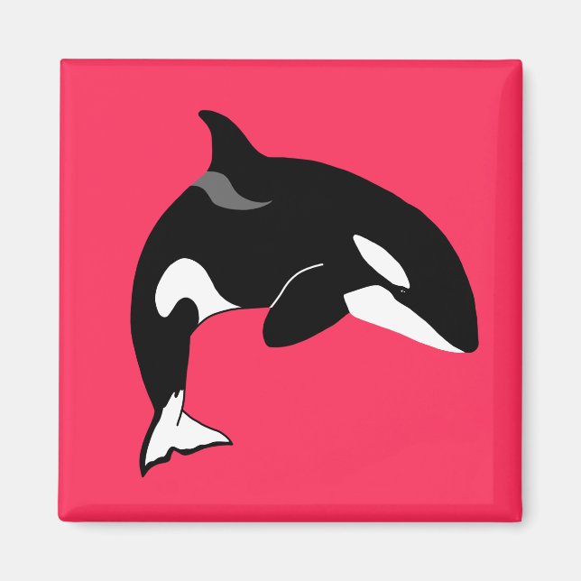 Schwertwal Orca  Magnet (Vorne)