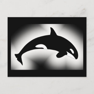 Schwertwal Orca Schwarz Weiß Postkarte