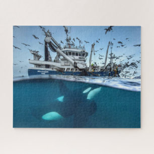 Schwertwal Orcacommerciële Vischboot Ozean Puzzle