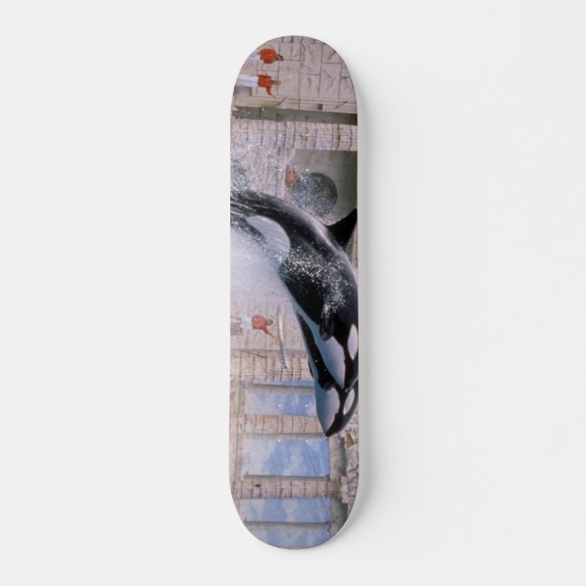 Schwertwal Skateboard (Vorne)
