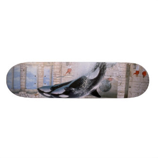 Schwertwal Skateboard