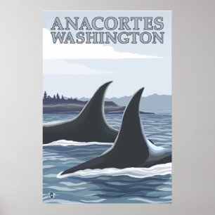 Schwertwal-Wale #1 - Anacortes, Washington Poster