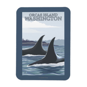 Schwertwal-Wale #1 - Schwertwale Insel, Washington Magnet