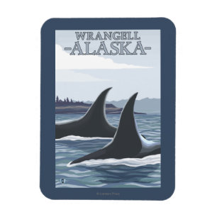Schwertwal-Wale #1 - Wrangell, Alaska Magnet