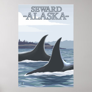 Schwertwale #1 - Seward, Alaska Poster