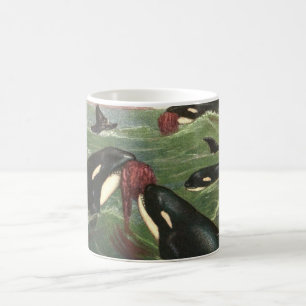 Schwertwale und Orcas, Vintage Meeressäuger Kaffeetasse