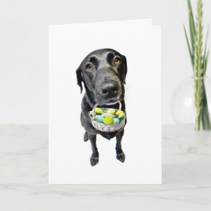 Schwerverletzter Feiertagskarte