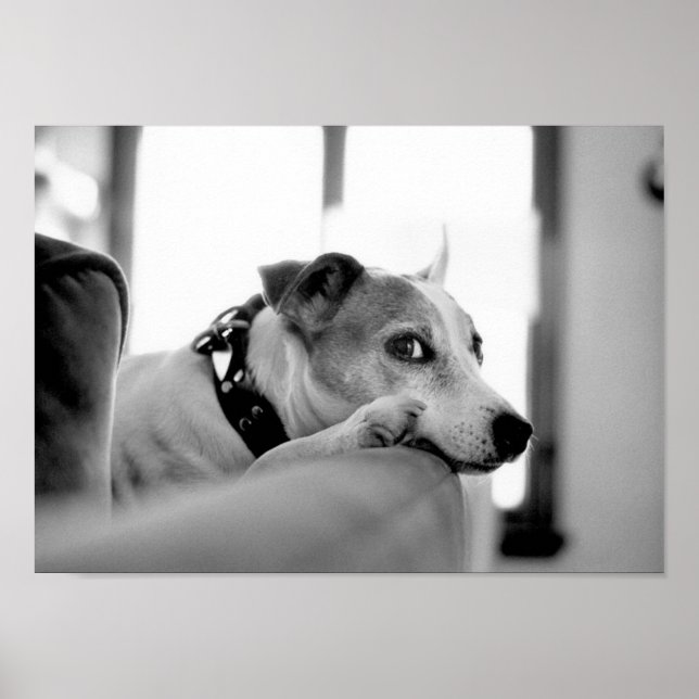 Schwerwiegende Augenpartien. Poster (Vorne)