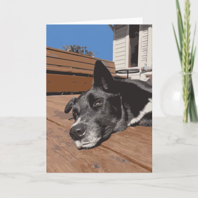 Schwerwiegender Hund Husky-Labrador, der schwarz u Karte (Vorderseite)