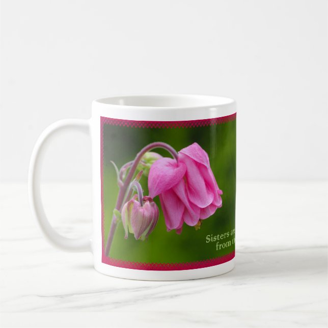 Schwestern sind verschiedene Blumen vom gleichen Tasse (Links)