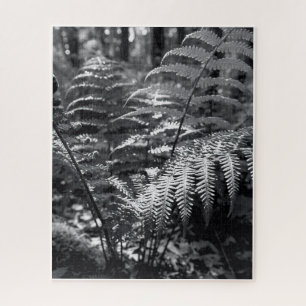 Schwieriges Monochrome Naturfotografie Puzzle