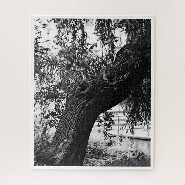 Schwieriges Monochrome Naturfotografie Puzzle (Vertikal)