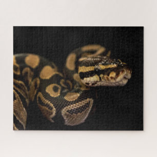 Schwieriges Schlangenpuzzle Puzzle