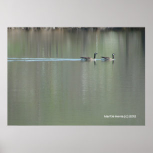 Schwimm der Liebe Poster