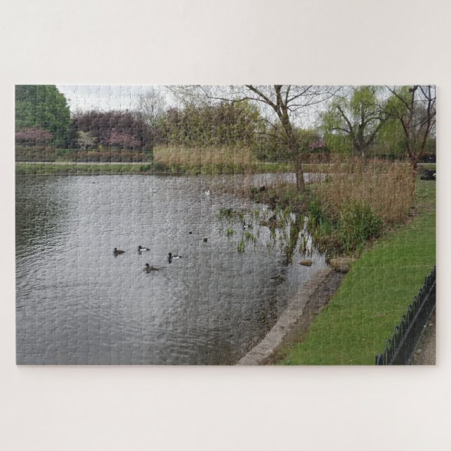 Schwimmbad & Birds Jigsaw Puzzle (Horizontal)