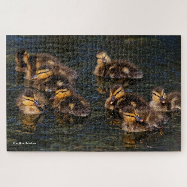 Schwimmbäume: 9 Niedlichen Mallard Ducklings Ji Puzzle (Horizontal)