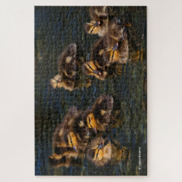Schwimmbäume: 9 Niedlichen Mallard Ducklings Ji Puzzle