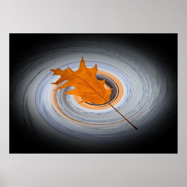 Schwimmblatt Poster (Vorne)