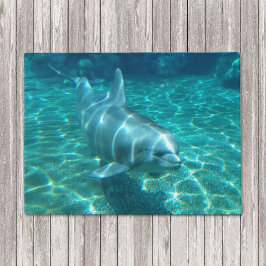 Schwimmdolphin Fußmatte