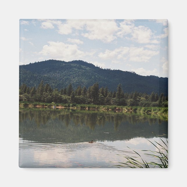 Schwimmen allein...... magnet (Vorne)