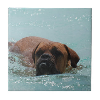 Schwimmen-Bordeaux Fliese