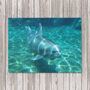 Schwimmen-Delphin Fußmatte