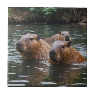 Schwimmen der Capybaras im Fluss, Fliese
