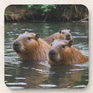 Schwimmen der Capybaras im Fluss, Getränkeuntersetzer