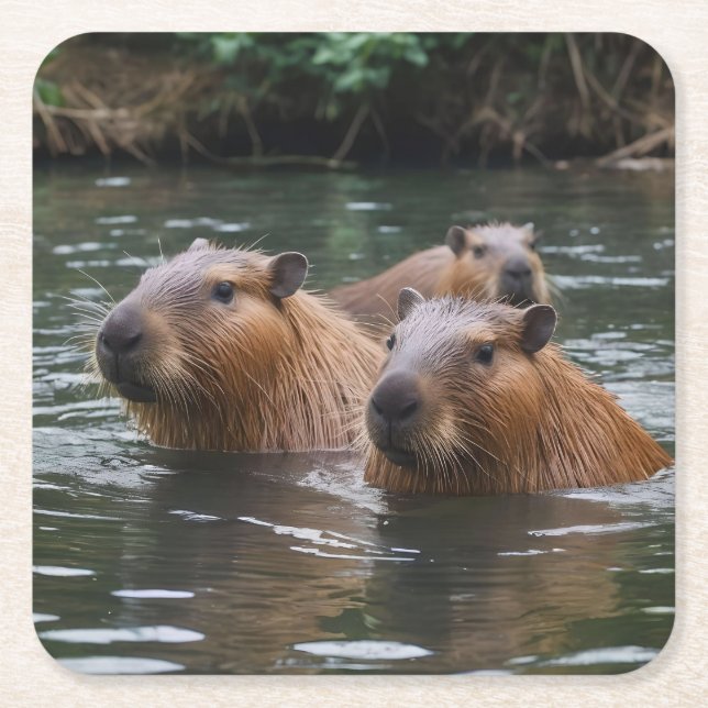 Schwimmen der Capybaras im Fluss,  Rechteckiger Pappuntersetzer (Vorderseite)