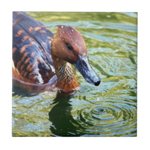 Schwimmen-Ente Fliese