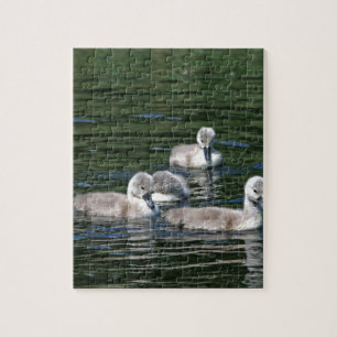 Schwimmen-Freunde Puzzle