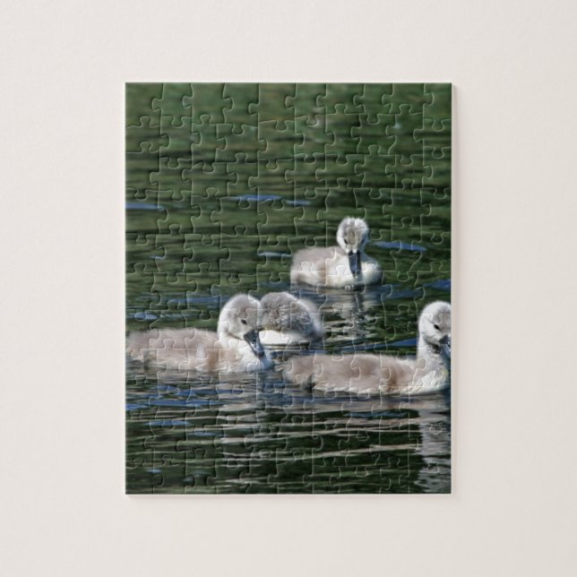 Schwimmen-Freunde Puzzle (Vertikal)