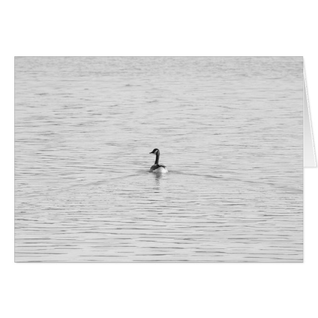 Schwimmen-Gans (Vorderseite (Horizontal))