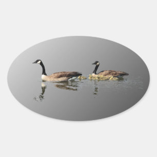 Schwimmen-Gans-Aufkleber Ovaler Aufkleber