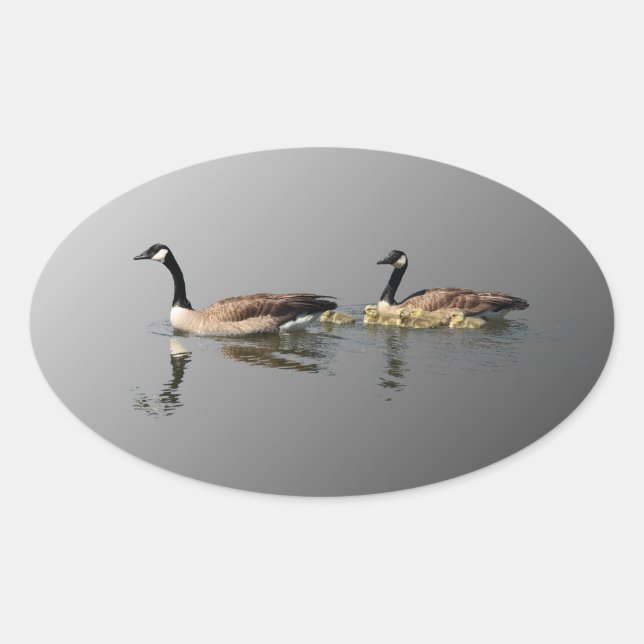Schwimmen-Gans-Aufkleber Ovaler Aufkleber (Vorderseite)