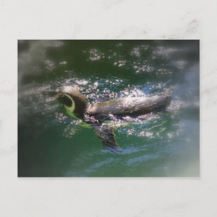 Schwimmen gehende Postkarte