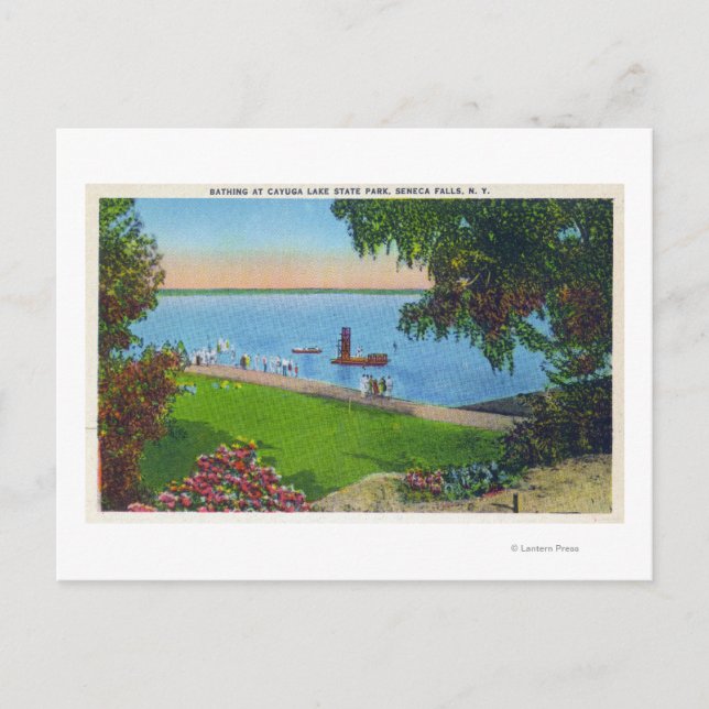 Schwimmen im Cayuga Lake Staat Park Postkarte (Vorderseite)