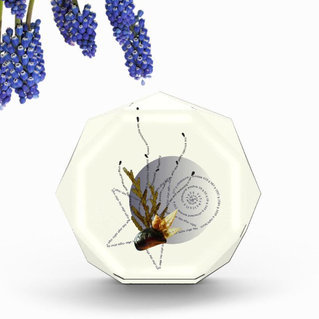 Schwimmen in 2 Schwangerschaftsgedicht Küstenstar  Fotoblock (Von Creator hochgeladen)