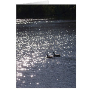 Schwimmen in das Licht